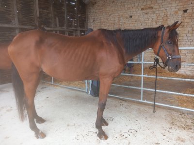 20240907_103532-1-1.jpg 20240907_103532-1-1.jpg