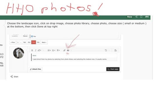 IMG_8125.jpeg IMG_8125.jpeg