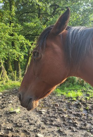 1000007002.jpg 1000007002.jpg