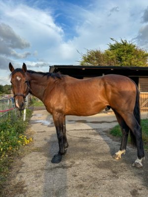 IMG_5888.jpeg IMG_5888.jpeg