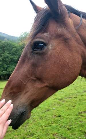 1000007045.jpg 1000007045.jpg