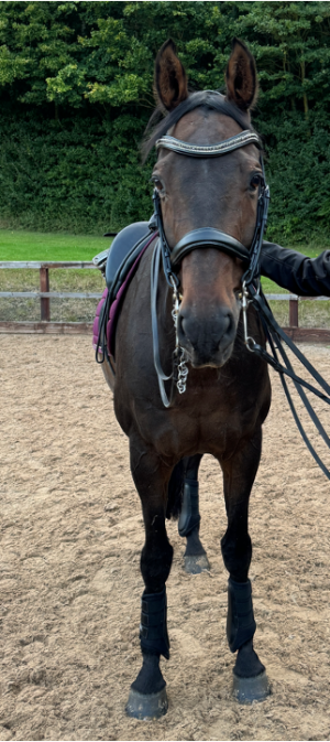 Picture 1.png Picture 1.png