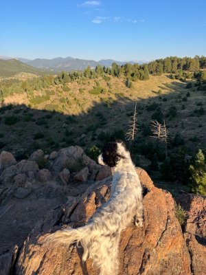 IMG_2285.jpeg IMG_2285.jpeg