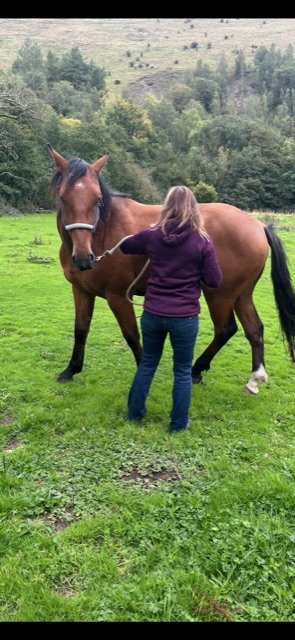 6CD4722B-AE44-48F5-BE00-C07EB2E0A3B2.jpeg 6CD4722B-AE44-48F5-BE00-C07EB2E0A3B2.jpeg