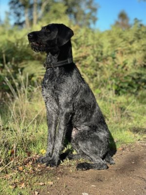 4FA0A5F5-126D-4D5A-B510-B8011E3F5045.jpeg 4FA0A5F5-126D-4D5A-B510-B8011E3F5045.jpeg