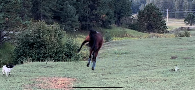 IMG_2326.png IMG_2326.png