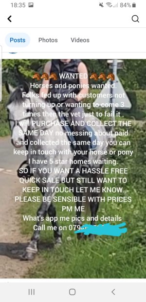 20240913_183711.jpg 20240913_183711.jpg