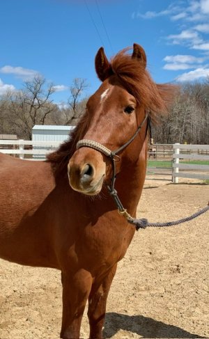 FullSizeR.jpeg FullSizeR.jpeg