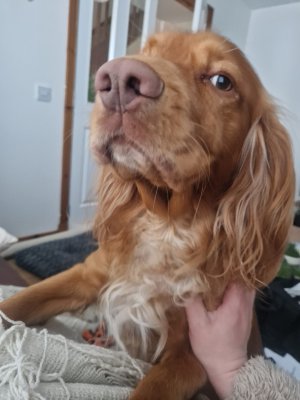 Screenshot_20240914_093608_Gallery.jpg Screenshot_20240914_093608_Gallery.jpg