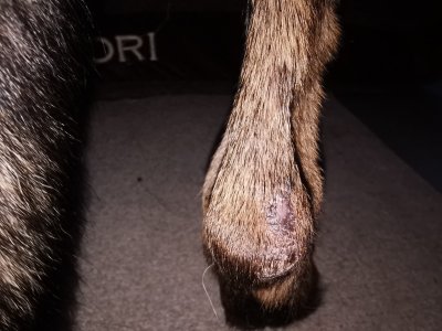 IMG_20240911_074831~01.jpg IMG_20240911_074831~01.jpg