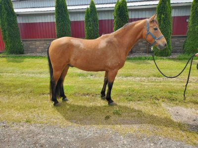 IMG_2355.jpeg IMG_2355.jpeg