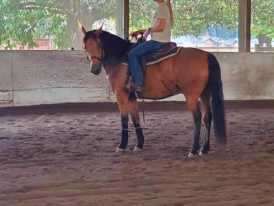 IMG_2356.jpeg IMG_2356.jpeg