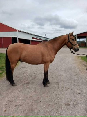 IMG_2359.jpeg IMG_2359.jpeg