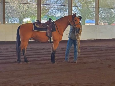 IMG_2358.jpeg IMG_2358.jpeg