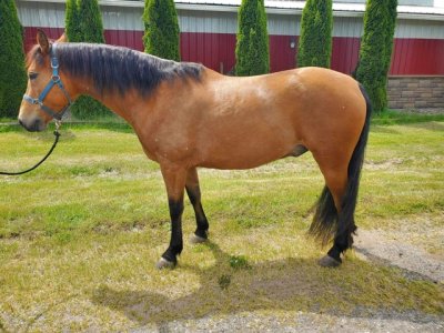 IMG_2357.jpeg IMG_2357.jpeg