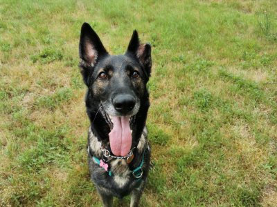 IMG_20240821_165218~01.jpg IMG_20240821_165218~01.jpg