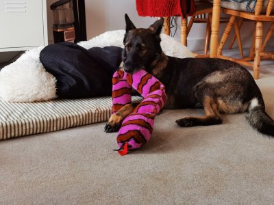 IMG_20240914_161546~01.jpg IMG_20240914_161546~01.jpg