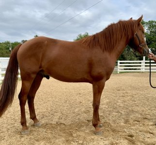 IMG_2216.jpeg IMG_2216.jpeg