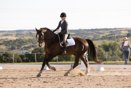 IMG_2382.jpeg IMG_2382.jpeg