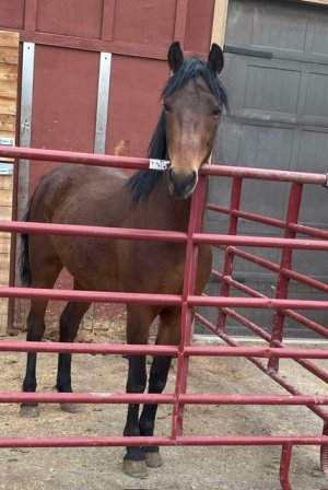 IMG_2368.jpeg IMG_2368.jpeg