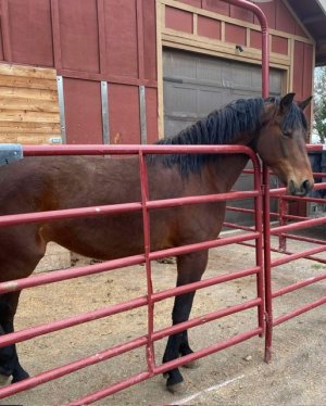 IMG_2366.jpeg IMG_2366.jpeg