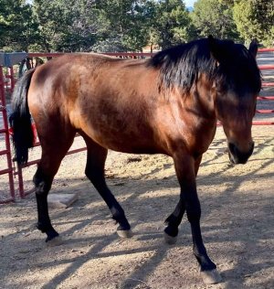 IMG_2367.jpeg IMG_2367.jpeg