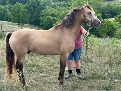 IMG_2371.jpeg IMG_2371.jpeg