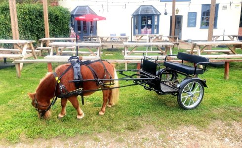 Screenshot_20240915_152501_Gallery.jpg Screenshot_20240915_152501_Gallery.jpg