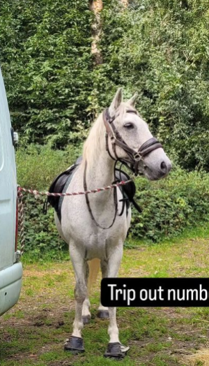 1726482078048.png 1726482078048.png