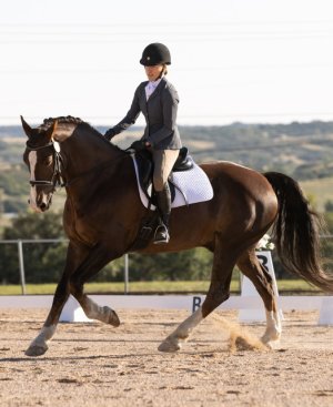 IMG_2387.jpeg IMG_2387.jpeg