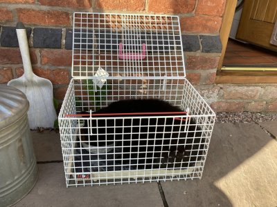 IMG_4930.jpeg IMG_4930.jpeg