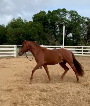 IMG_2412.jpeg IMG_2412.jpeg