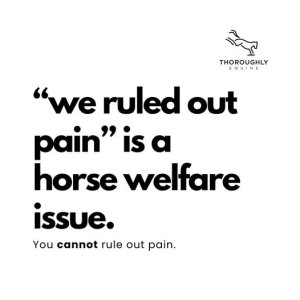 459605374_490665480607379_6476548364857934443_n.jpg 459605374_490665480607379_6476548364857934443_n.jpg