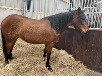 IMG_2784.JPG IMG_2784.JPG