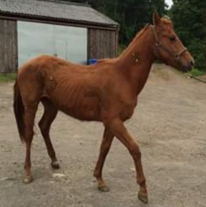 Screenshot_20240919_130506_Gallery.jpg Screenshot_20240919_130506_Gallery.jpg