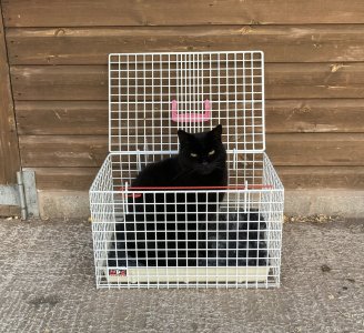 IMG_4938.jpeg IMG_4938.jpeg