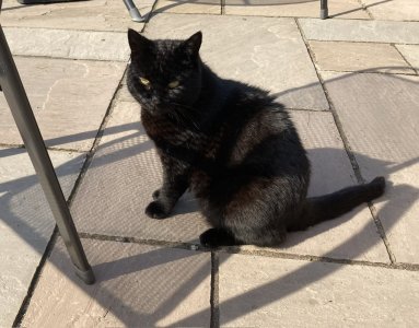 IMG_4945.jpeg IMG_4945.jpeg