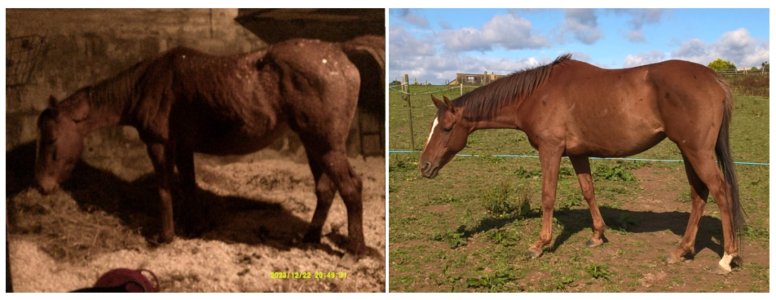 Lass Progress December 2023 to August 2024.jpg Lass Progress December 2023 to August 2024.jpg