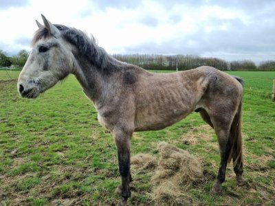 1000070369.jpeg 1000070369.jpeg