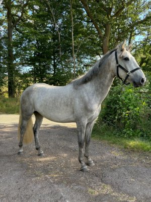 IMG_5021.jpeg IMG_5021.jpeg