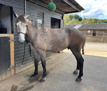 1726924169894.png 1726924169894.png