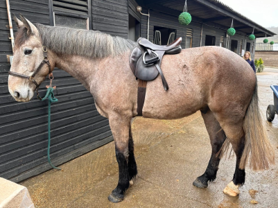 1726924904831.png 1726924904831.png