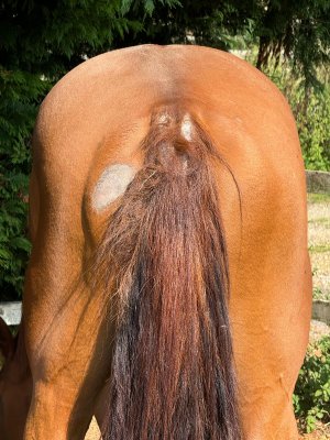 f3ad0bb0-f544-4ef3-bbd7-2f181f88de62.jpeg f3ad0bb0-f544-4ef3-bbd7-2f181f88de62.jpeg