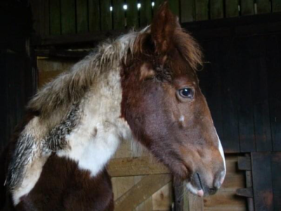 IMG_0968.png IMG_0968.png