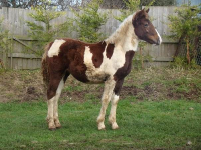 IMG_0969.png IMG_0969.png