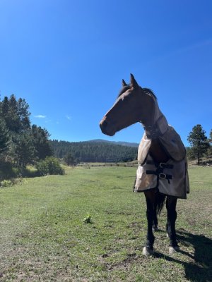 IMG_2483.jpeg IMG_2483.jpeg