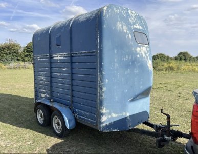 IMG_1468.jpeg IMG_1468.jpeg