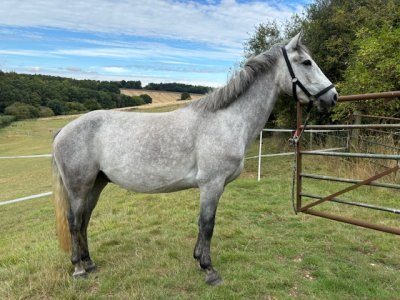 IMG_5836.jpeg IMG_5836.jpeg