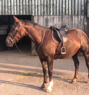 image0.jpeg image0.jpeg