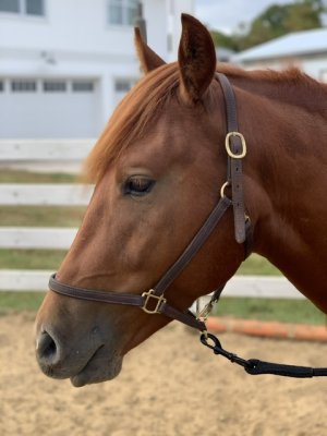 IMG_2205.jpeg IMG_2205.jpeg